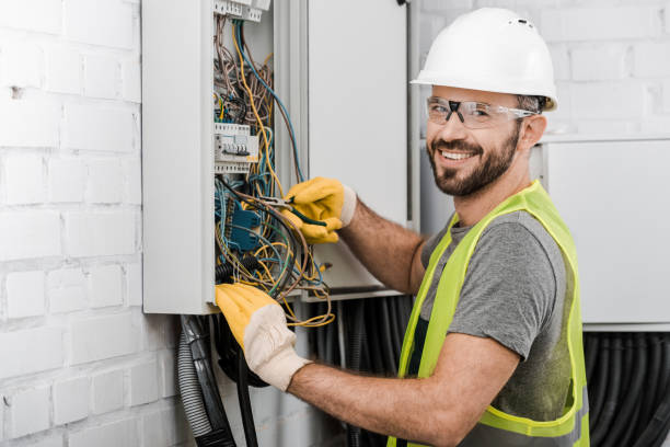 Best Electric Panel Repair  in Tanaina, AK