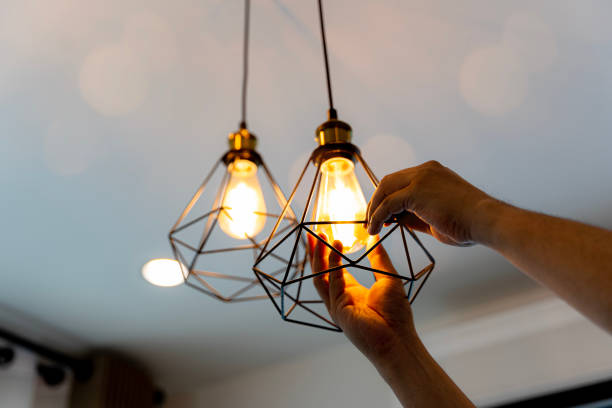 Best Industrial Electrical Services  in Tanaina, AK