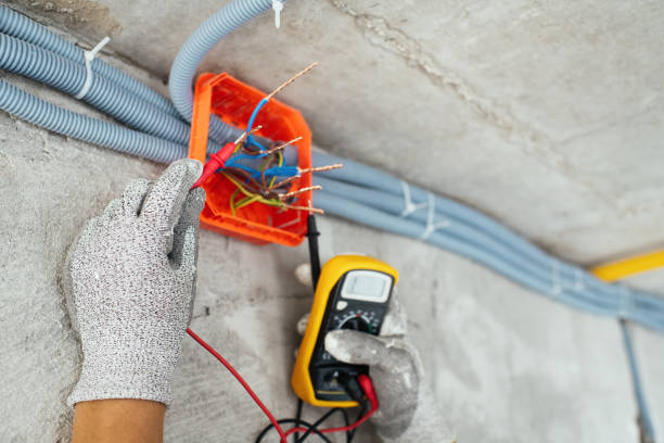 Best Electrical Troubleshooting Services  in Tanaina, AK