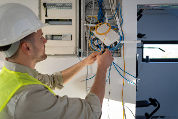 Best Electrical System Inspection  in Tanaina, AK