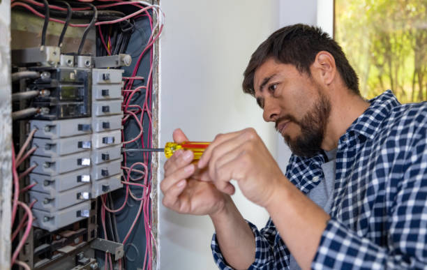 Best Ceiling Fan Installation Electrician  in Tanaina, AK